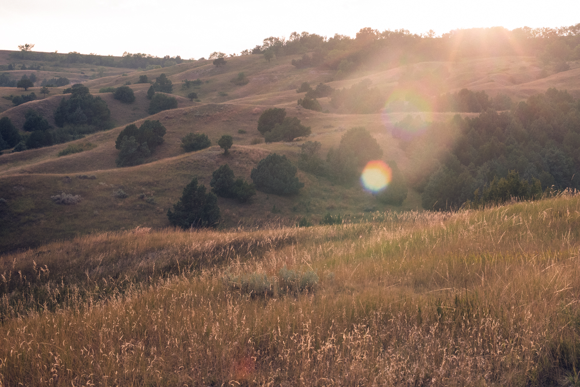 Golden hour at Badlands National Park