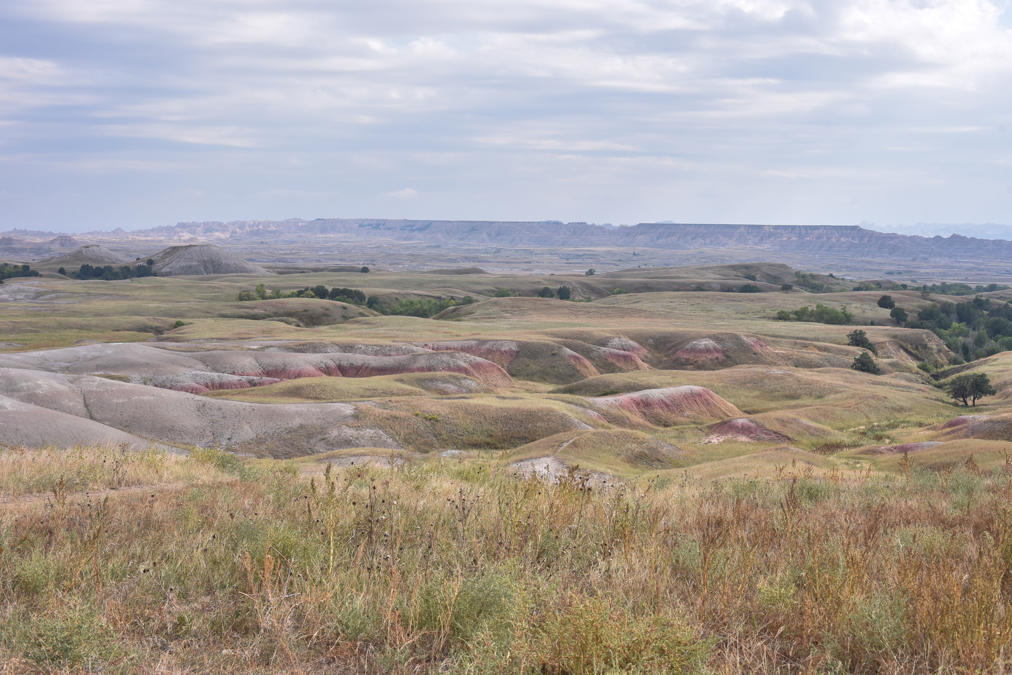 Grassland with ripples of colored rock at Badlands National Park