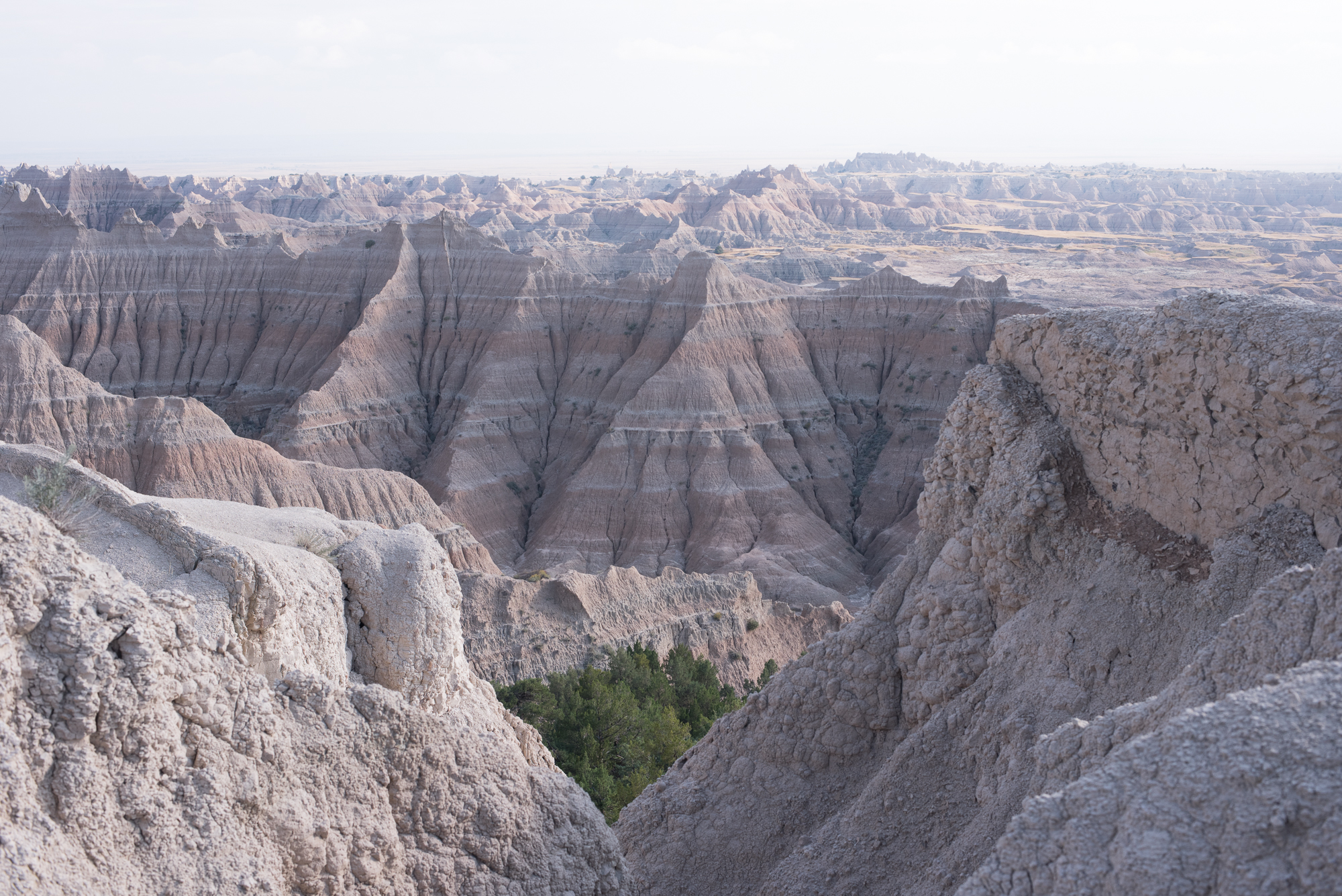 Forest tucked between striped rock formations at Badlands National Park