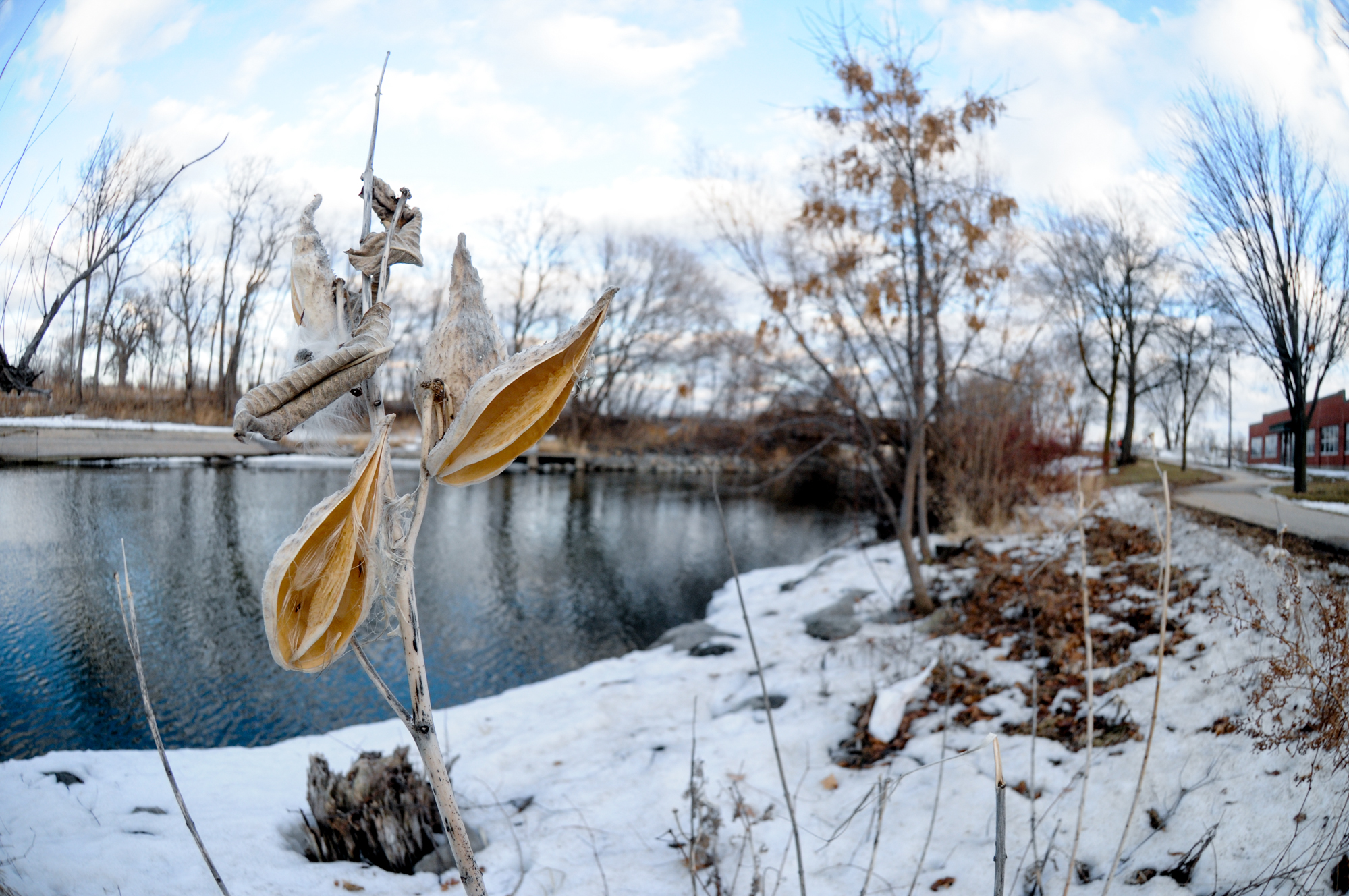 Yahara River